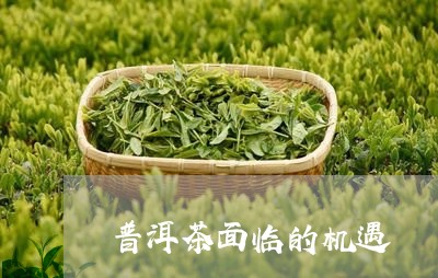 普洱茶面临的机遇/2023040956928