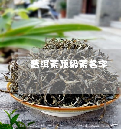 普洱茶顶级茶名字/2023031737383