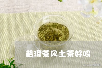 普洱茶风土茶好吗/2023031744938