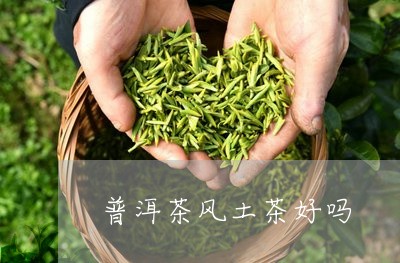 普洱茶风土茶好吗/2023041266048