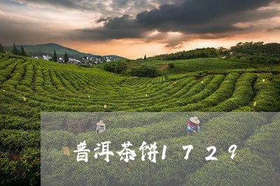 普洱茶饼1729/2023031638261