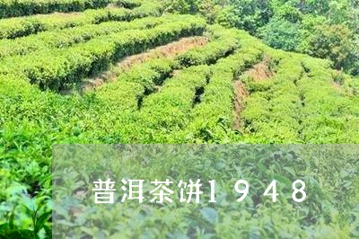 普洱茶饼1948/2023041063848