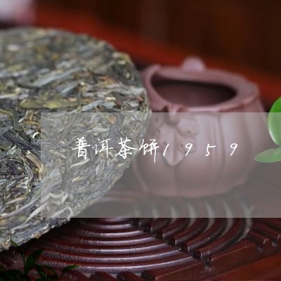 普洱茶饼1959/2023041062836