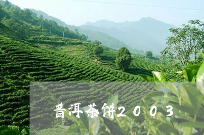 普洱茶饼2003/2023041072604