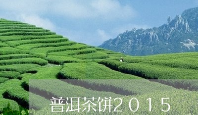 普洱茶饼2015/2023041022037