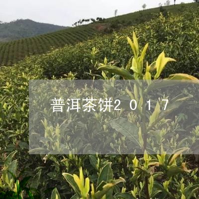 普洱茶饼2017/2023041099492