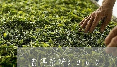 普洱茶饼3000/2023031681705