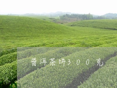 普洱茶饼300克/2023041008260