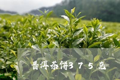 普洱茶饼375克/2023031841402