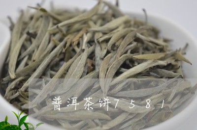 普洱茶饼7581/2023041140505