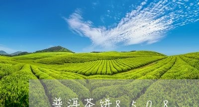 普洱茶饼8508/2023031704057