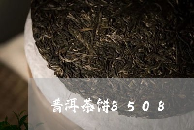 普洱茶饼8508/2023041260638