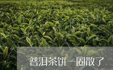 普洱茶饼一圈散了/2023033194038