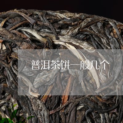 普洱茶饼一般几个/2023031630846