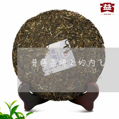 普洱茶饼上的内飞/2023033093839