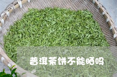 普洱茶饼不能晒吗/2023040192805