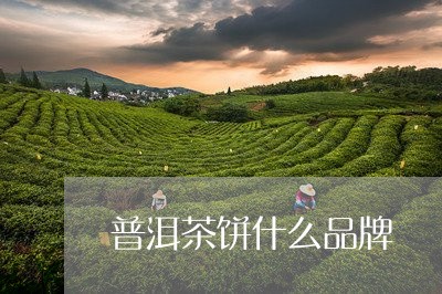 普洱茶饼什么品牌/2023041226140