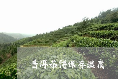 普洱茶饼保存湿度/2023040992615