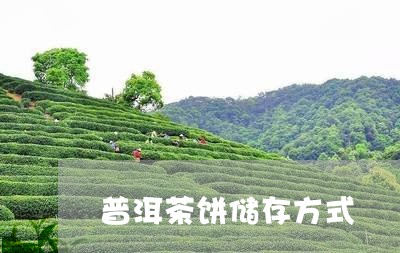 普洱茶饼储存方式/2023041464947