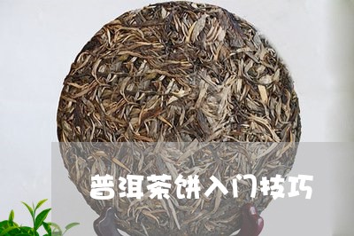 普洱茶饼入门技巧/2023041383737