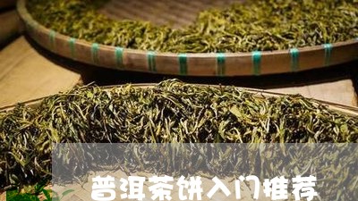 普洱茶饼入门推荐/2023031874271