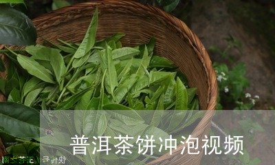 普洱茶饼冲泡视频/2023031770804