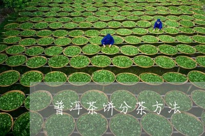 普洱茶饼分茶方法/2023031683837