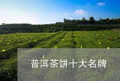 普洱茶饼十大名牌/2023041350896