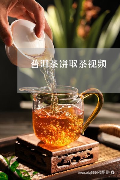 普洱茶饼取茶视频/2023031618360