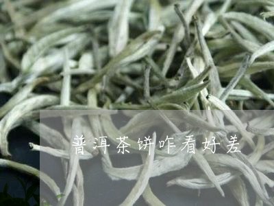 普洱茶饼咋看好差/2023040126050