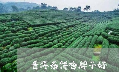 普洱茶饼啥牌子好/2023031705160