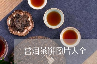 普洱茶饼图片大全/2023041351624