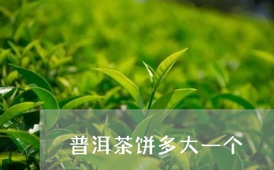 普洱茶饼多大一个/2023033199593