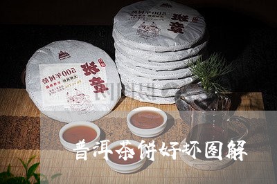 普洱茶饼好坏图解/2023031859591