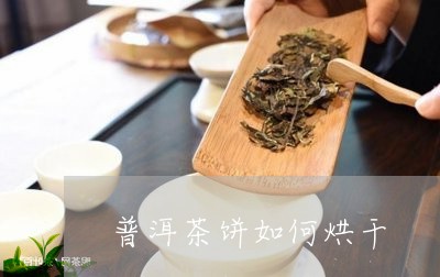 普洱茶饼如何烘干/2023041074937