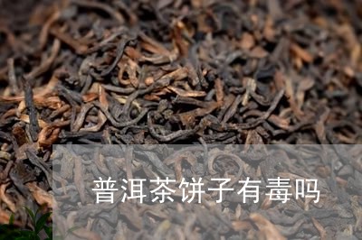 普洱茶饼子有毒吗/2023031665847