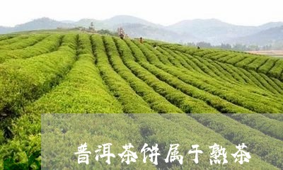 普洱茶饼属于熟茶/2023031680025