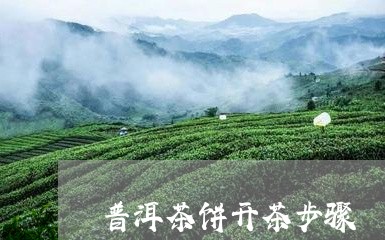 普洱茶饼开茶步骤/2023031614251