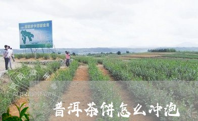 普洱茶饼怎么冲泡/2023041469272