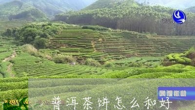 普洱茶饼怎么和好/2023041077049