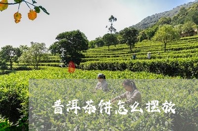 普洱茶饼怎么摆放/2023040906150