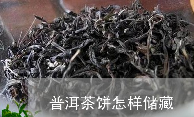 普洱茶饼怎样储藏/2023041065159