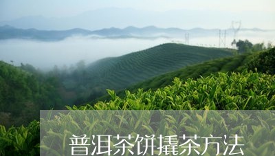 普洱茶饼撬茶方法/2023041139692