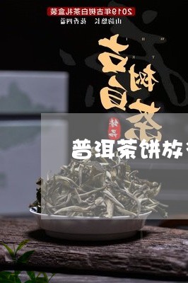 普洱茶饼放多少水/2023041238461