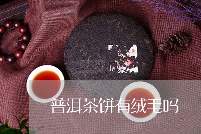 普洱茶饼有绒毛吗/2023040144128