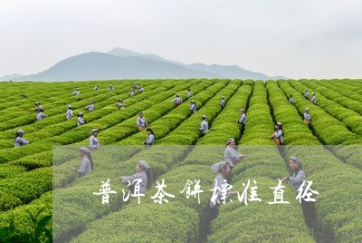 普洱茶饼标准直径/2023041072625