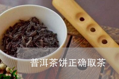 普洱茶饼正确取茶/2023031569393