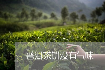 普洱茶饼没有气味/2023041320692