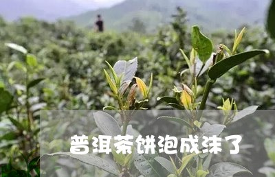 普洱茶饼泡成沫了/2023033136857