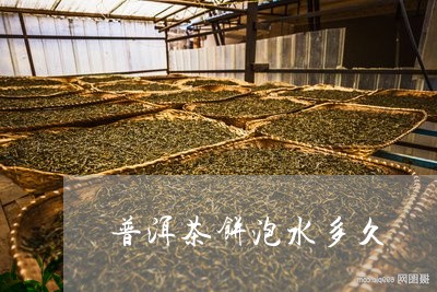 普洱茶饼泡水多久/2023031748079